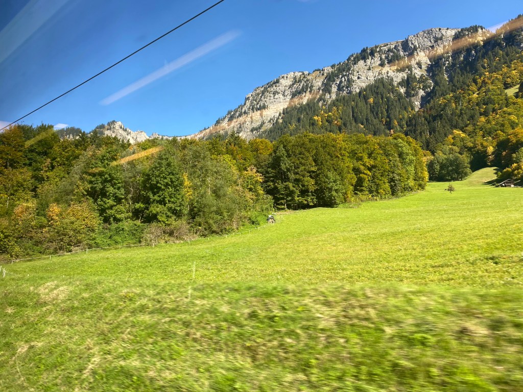 Dieses Bild hat ein leeres alt-Attribut; sein Dateiname ist img_9006.jpg