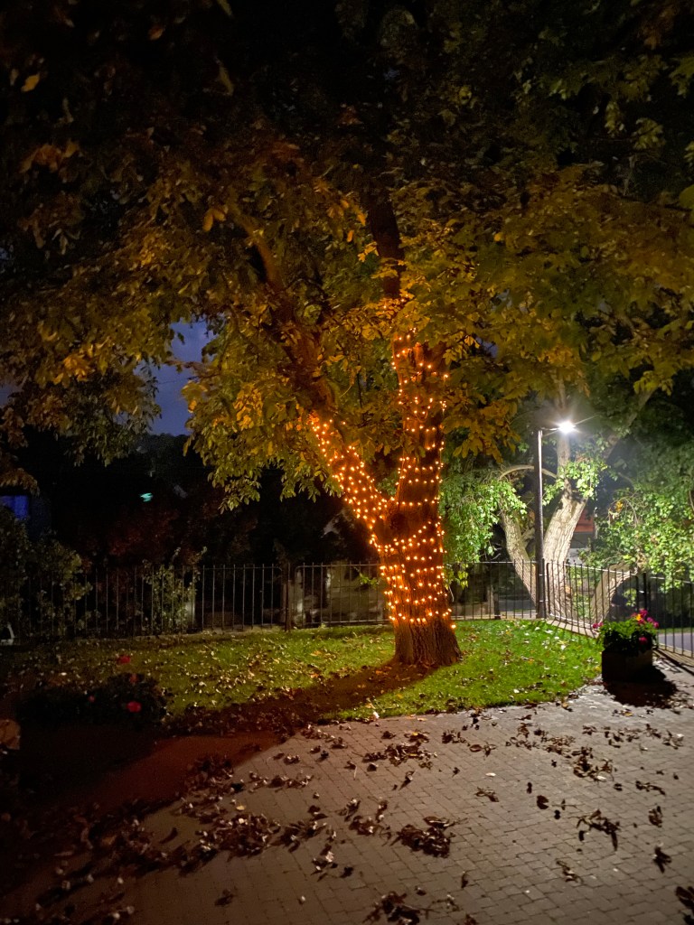 Dieses Bild hat ein leeres alt-Attribut; sein Dateiname ist img_9071.jpg